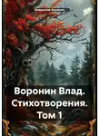 Владислав Воронин - Воронин Влад. Стихотворения. Том 1