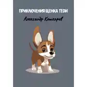 Постер книги Приключения щенка Теди
