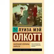 Постер книги Маленькие мужчины выросли
