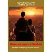 Постер книги Воронежцы и Война