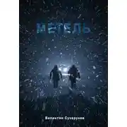 Постер книги Метель