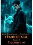 Илья Ангел - Тёмный маг. Книга 3. Перепутье