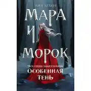 Постер книги Мара и Морок. Особенная Тень