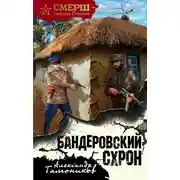 Постер книги Бандеровский схрон