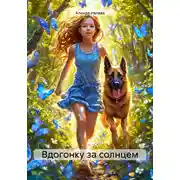 Постер книги Вдогонку за солнцем