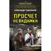 Постер книги Просчет невидимки