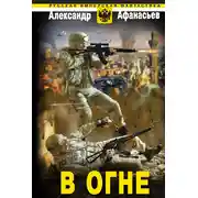 Постер книги В огне