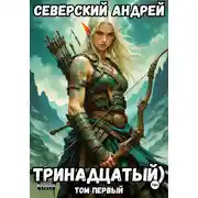 Постер книги Тринадцатый. Том 1