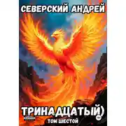 Постер книги Тринадцатый. Том 6