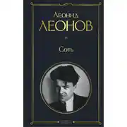 Постер книги Соть