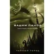 Постер книги Быстрые перемены