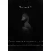 Постер книги Приключения материка Фе Де Хеллэси. История одиннадцатой