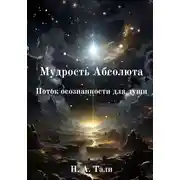 Постер книги Мудрость Абсолюта. Поток осознанности для души