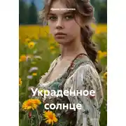 Постер книги Украденное солнце