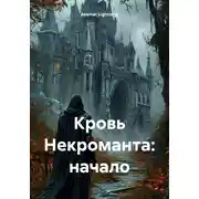 Постер книги Кровь Некроманта: начало