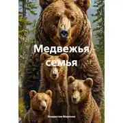 Постер книги Медвежья семья