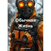 Постер книги Обычная Жизнь