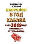 Мирзакарим Норбеков - Напролом в год Кабана: как в 2019 году похрюкивать от удовольствия