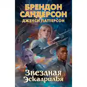 Постер книги Звездная эскадрилья