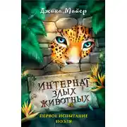 Постер книги Первое испытание Ноэля