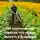 Ирина Жук - 100 практических советов, что нужно сделать в огороде в начале весны