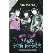 Постер книги Загадка смерти бой-бэнда