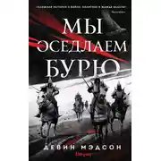 Постер книги Мы оседлаем бурю