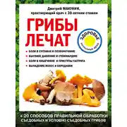 Постер книги Грибы лечат