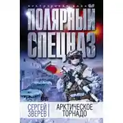 Постер книги Арктическое торнадо