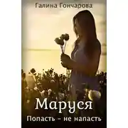 Постер книги Попасть - не напасть