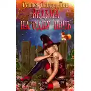 Постер книги Ведьма на одну ночь