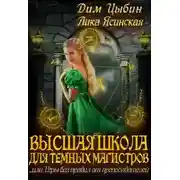 Постер книги Высшая школа для темных магистров