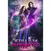 Постер книги Жена для Верховного мага