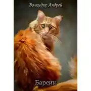 Постер книги Барсик - житель трущоб