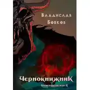 Постер книги Неистовый маг 4