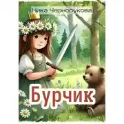 Постер книги Бурчик