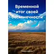 Постер книги Временной итог своей бесконечности