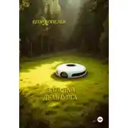 Постер книги Загадка Демиурга