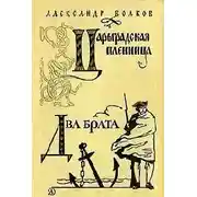 Постер книги Два брата
