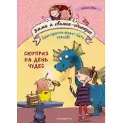 Постер книги Сюрприз на День Чудес