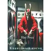 Постер книги Квантовый носок