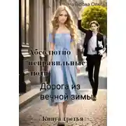 Постер книги Абсолютно неправильные люди. Дорога из вечной зимы