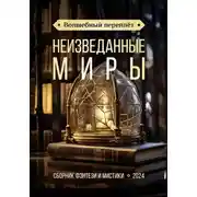 Постер книги Волшебный переплёт. Неизведанные миры