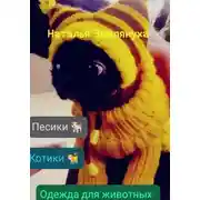 Постер книги Одежда для животных