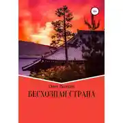 Постер книги Бесхозная страна