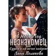 Постер книги Незнакомец в Новый год, или Cудьба и на печке найдет