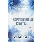 Постер книги Разрушенная клятва