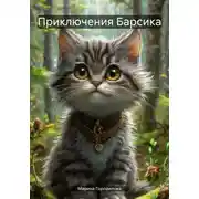 Постер книги Приключения Барсика
