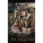 Постер книги Небо на ладони