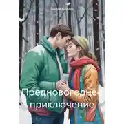 Постер книги Предновогоднее приключение
